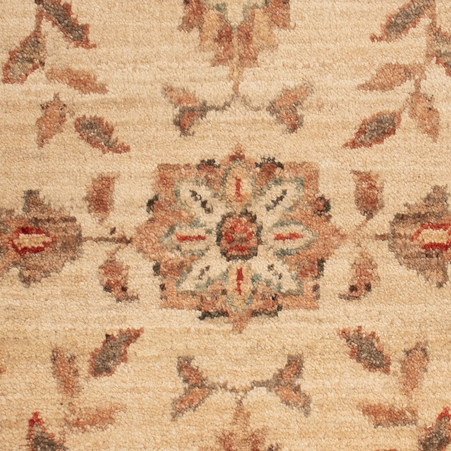 Ziegler Rug - 70 x 50 cm - beige