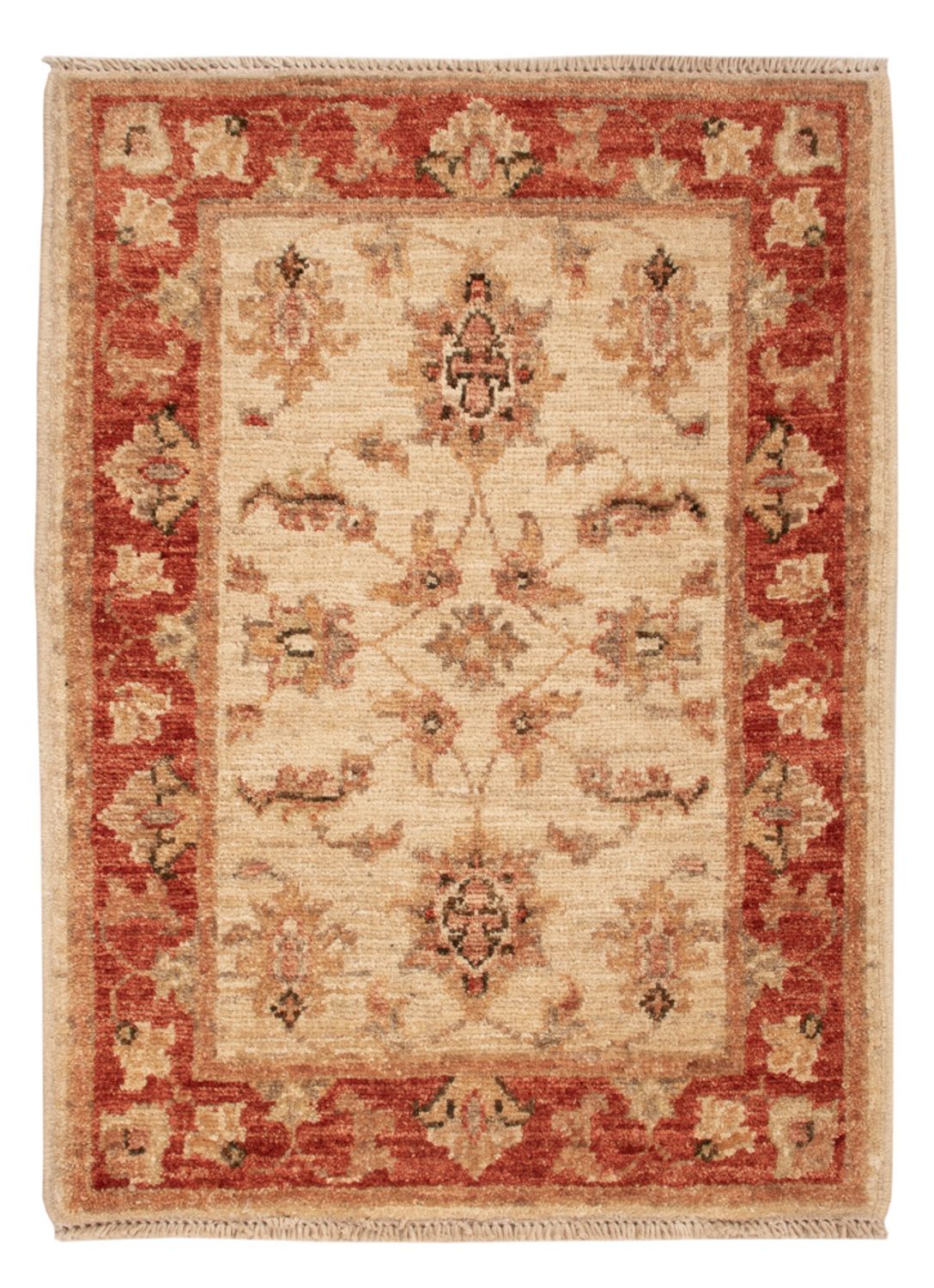 Ziegler Rug - 70 x 50 cm - beige