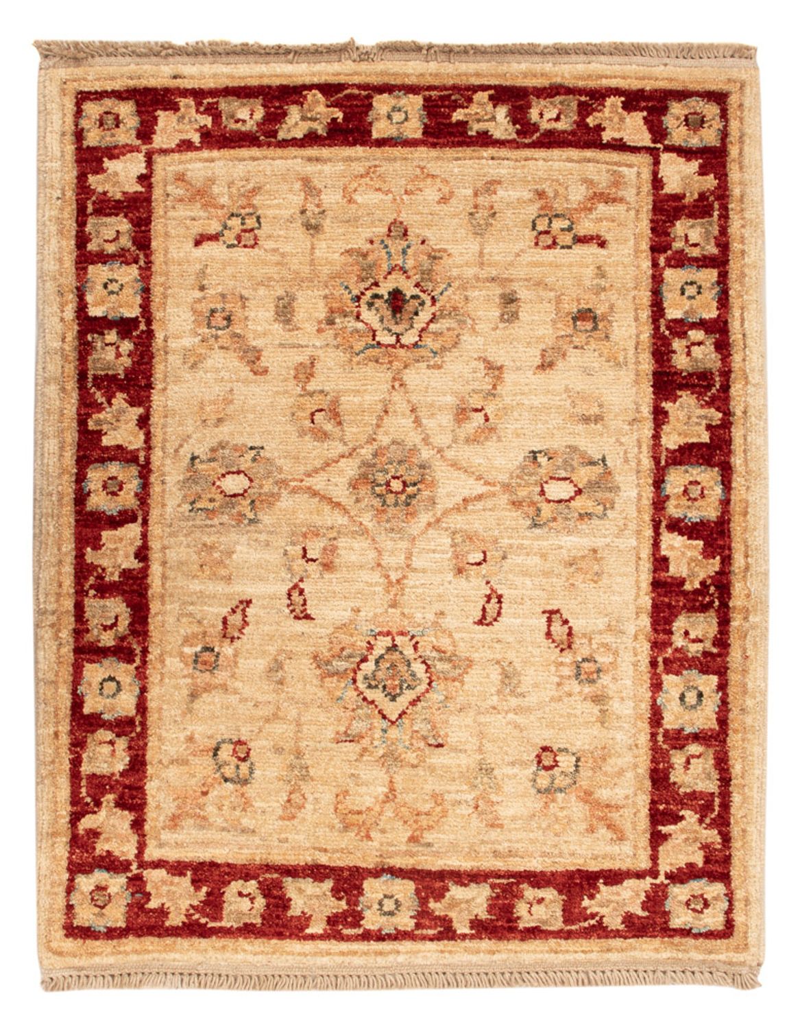 Ziegler Rug - 65 x 51 cm - beige