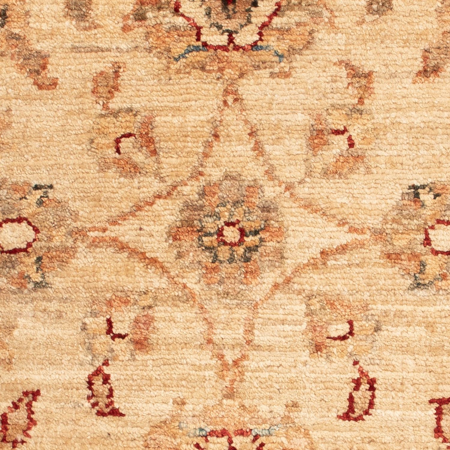 Ziegler Rug - 65 x 51 cm - beige