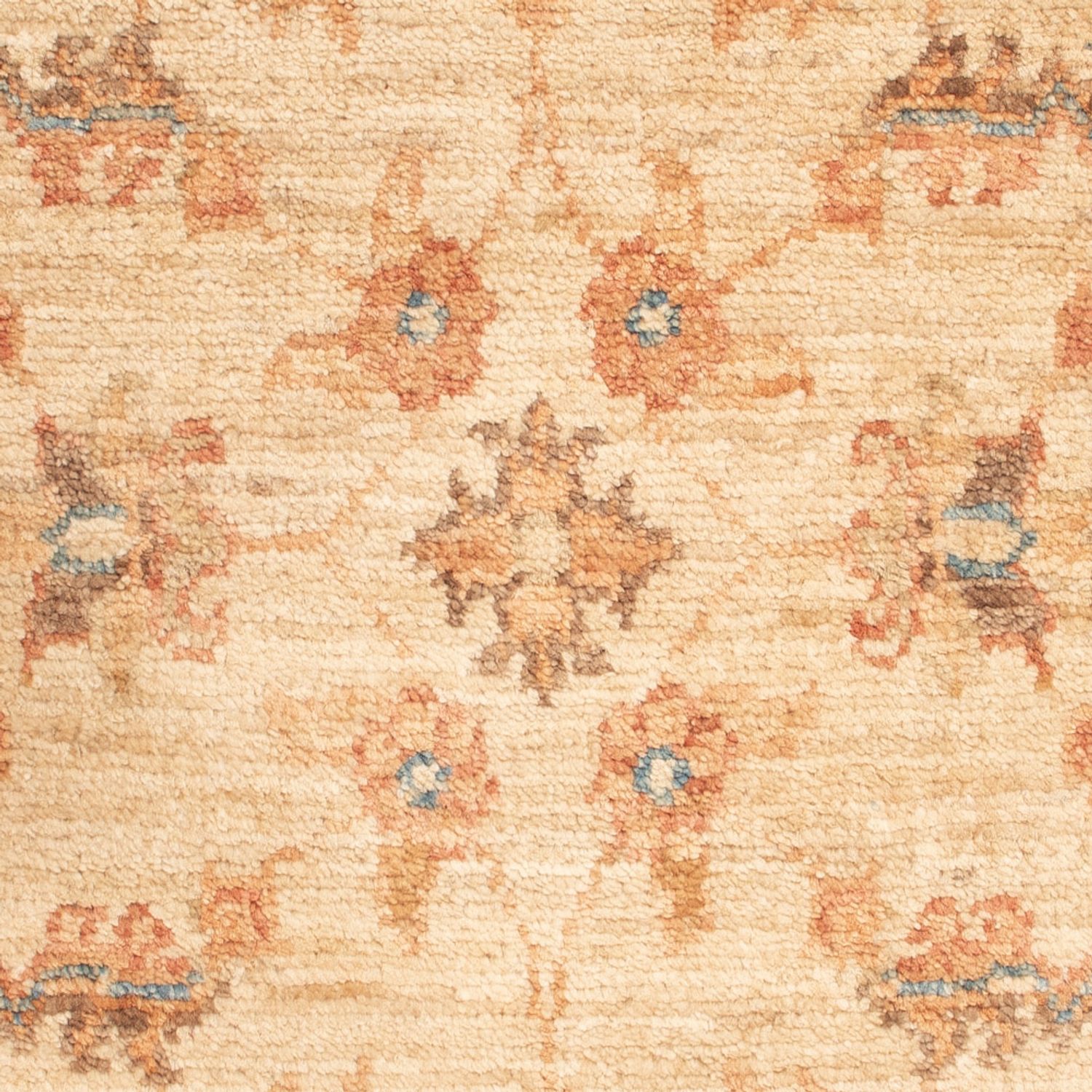 Ziegler Rug - 74 x 49 cm - beige