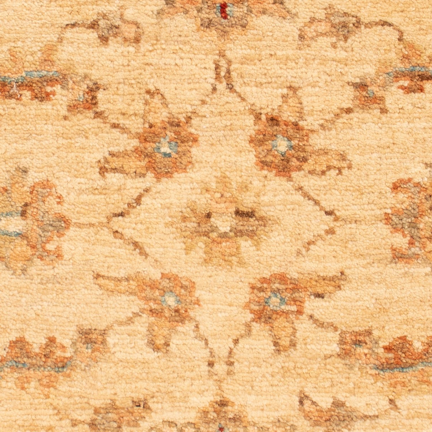 Ziegler Rug - 65 x 54 cm - beige