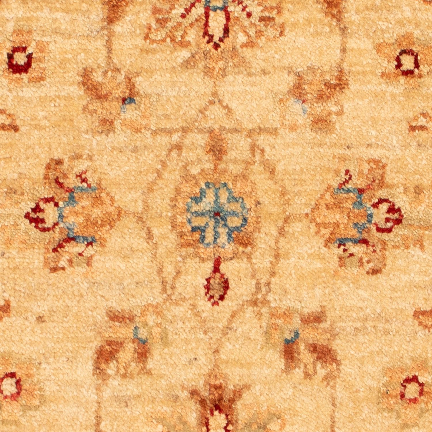 Ziegler Rug - 70 x 51 cm - beige