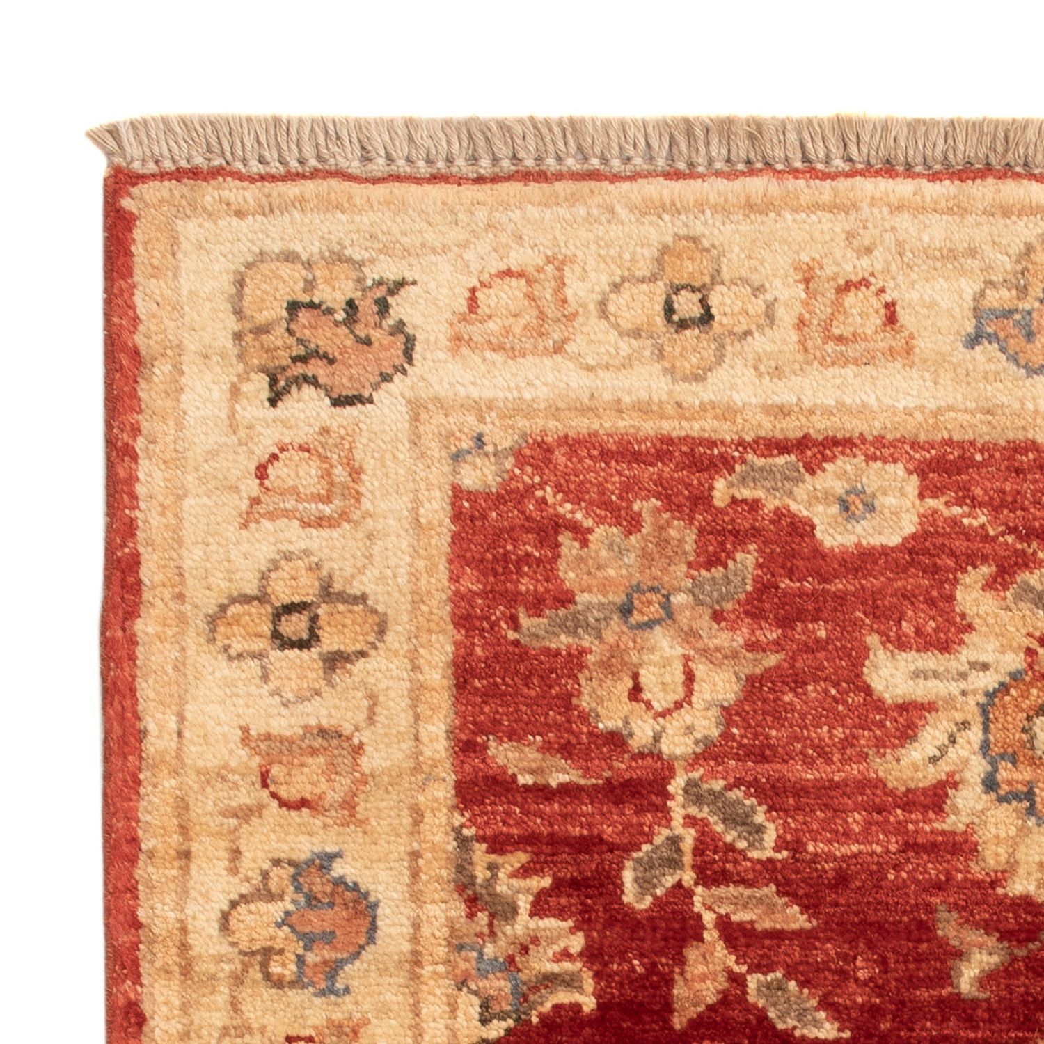 Ziegler Rug - 63 x 52 cm - red