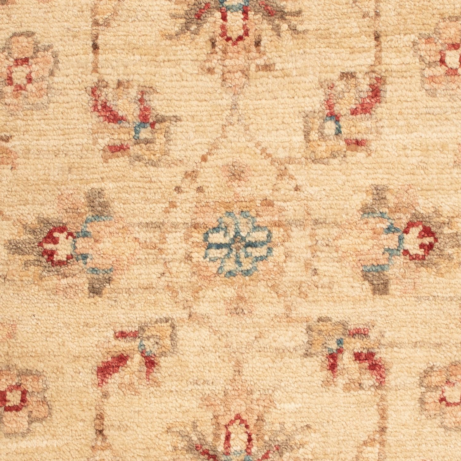 Ziegler Rug - 70 x 52 cm - beige