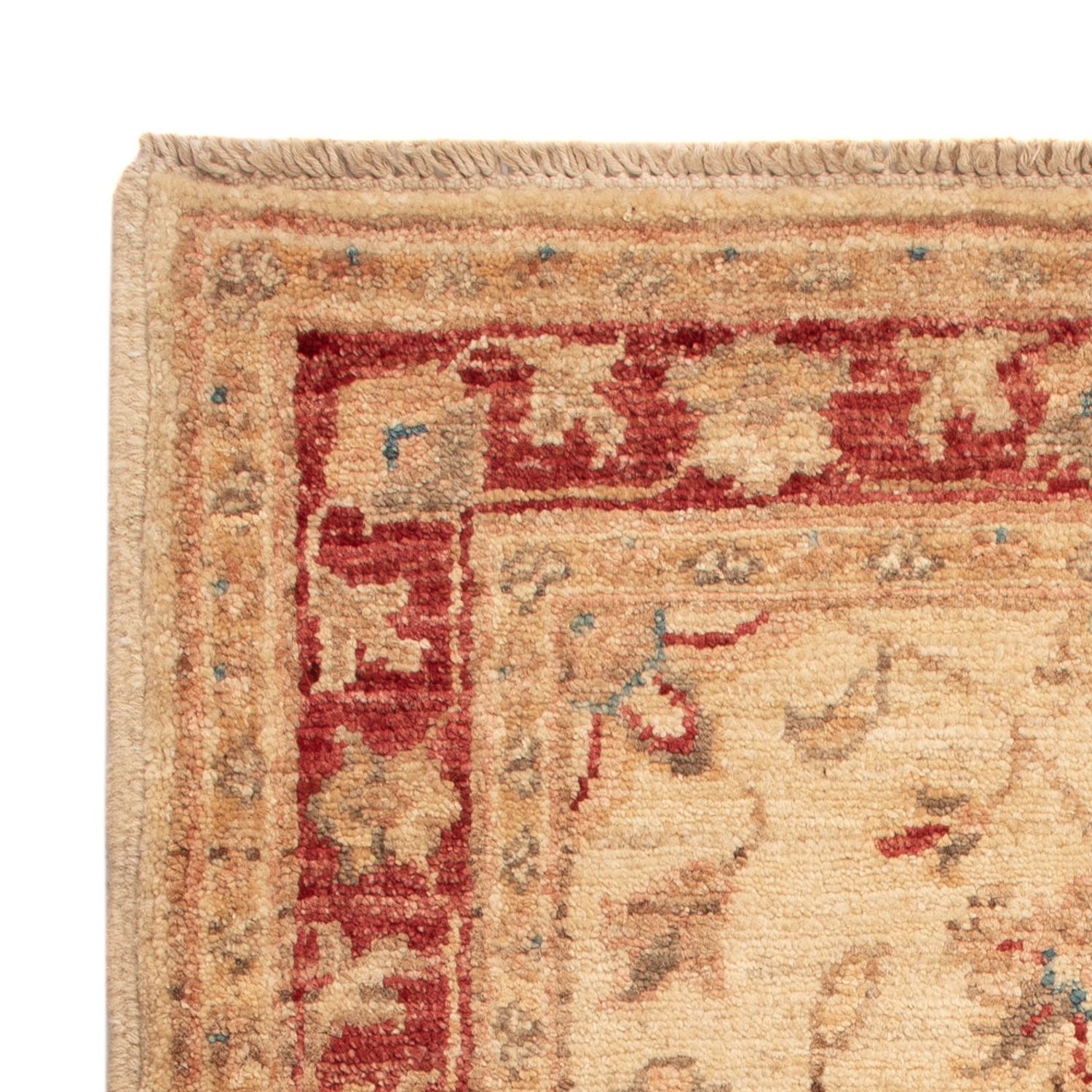 Ziegler Rug - 70 x 52 cm - beige