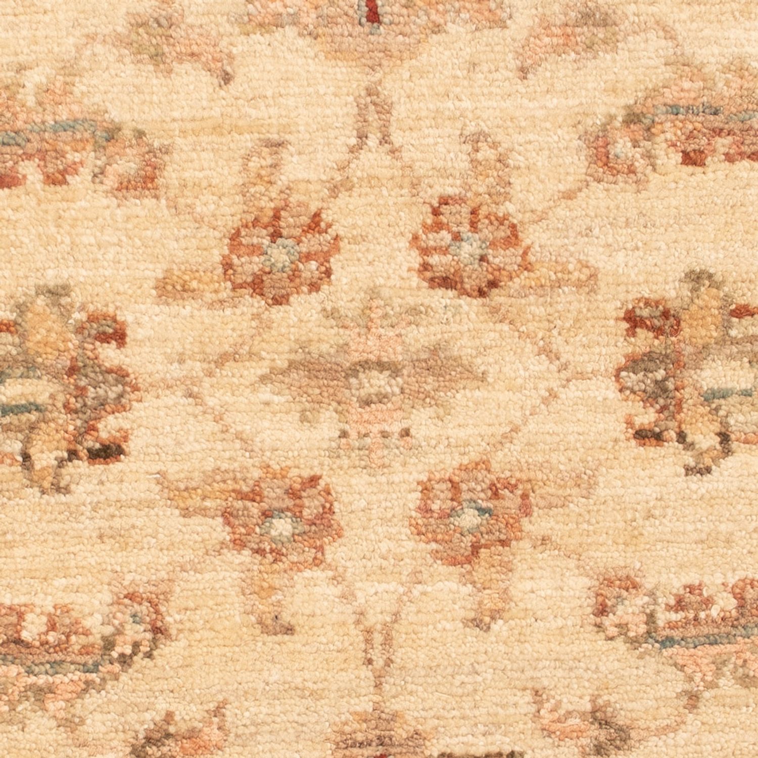 Ziegler Rug - 64 x 50 cm - beige