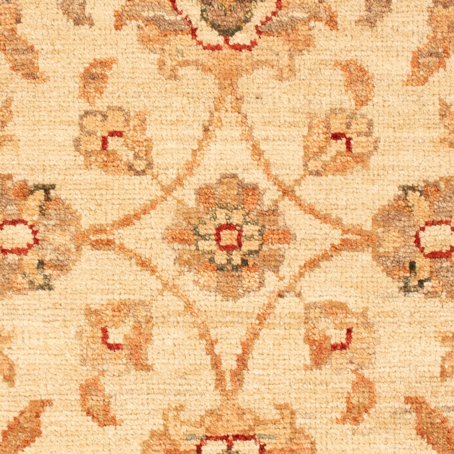 Ziegler Rug - 72 x 55 cm - beige