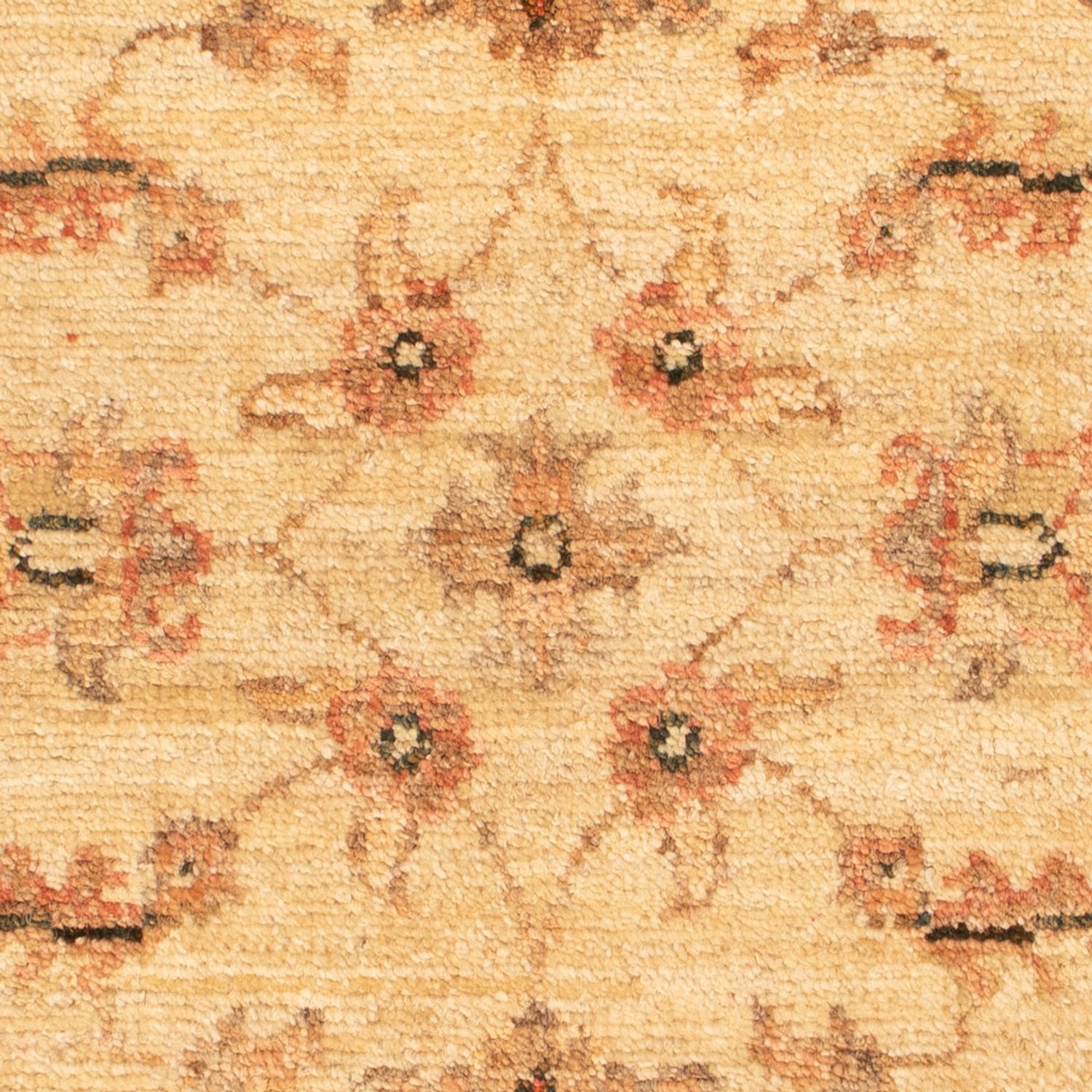 Ziegler Rug - 69 x 53 cm - beige