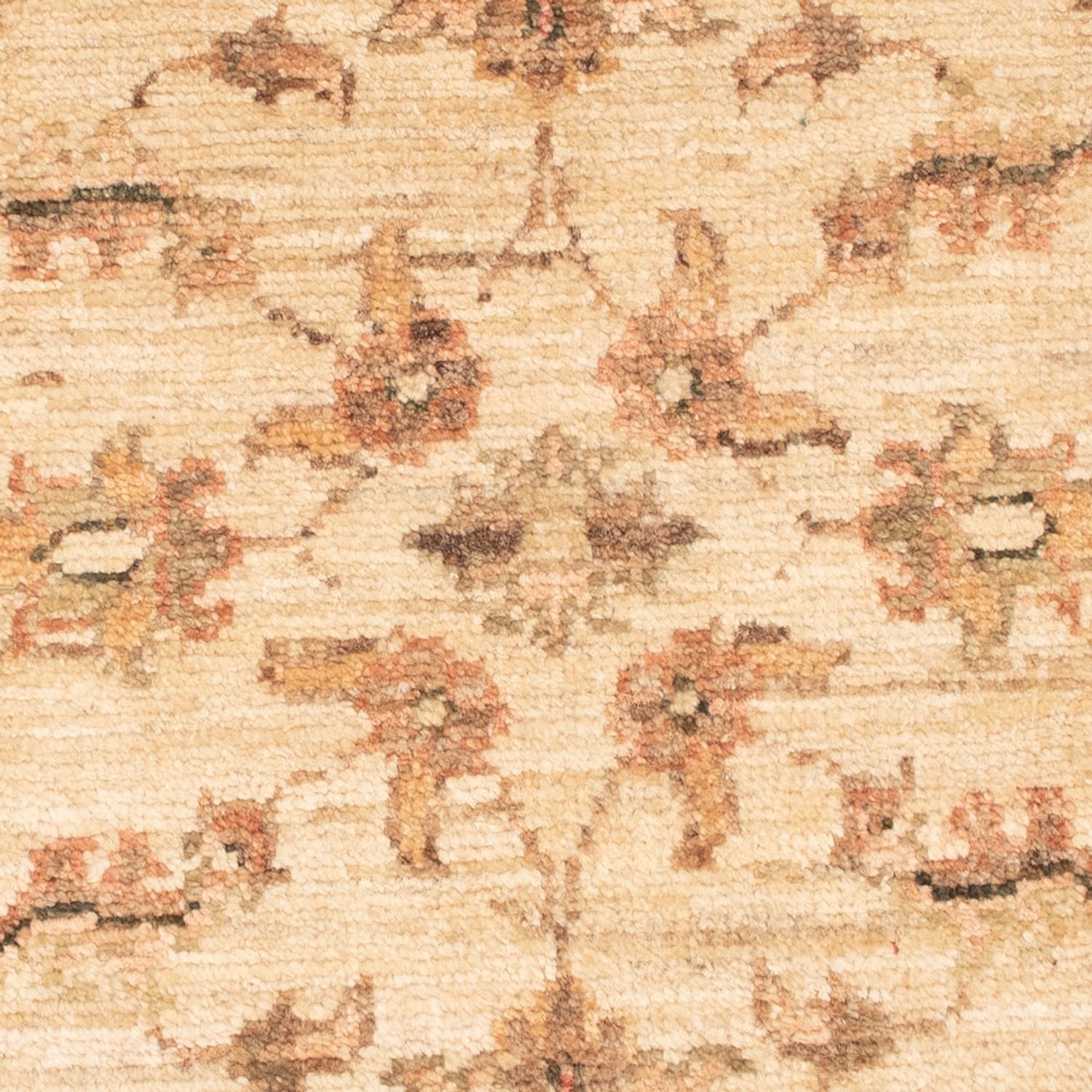 Ziegler Rug - 71 x 49 cm - beige