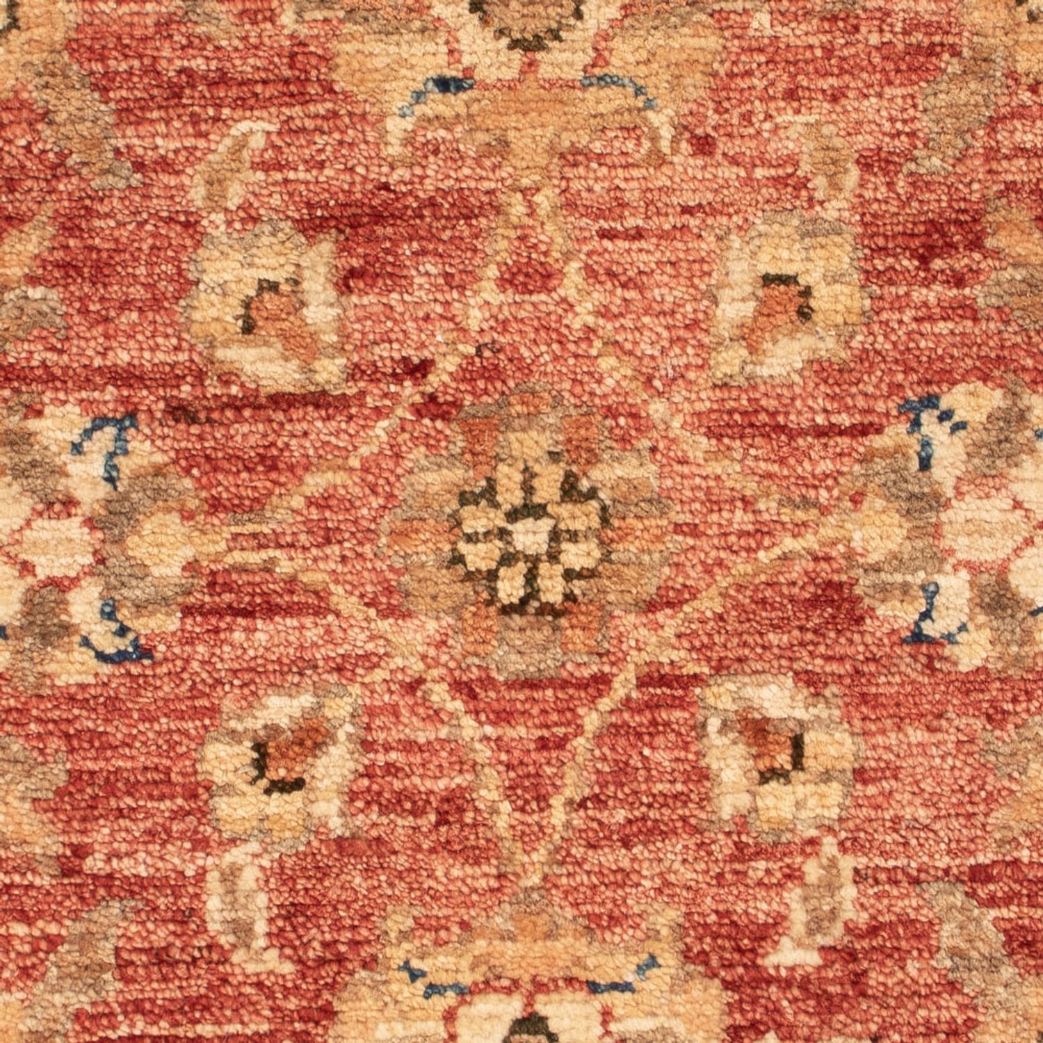 Ziegler Rug - 72 x 50 cm - rust