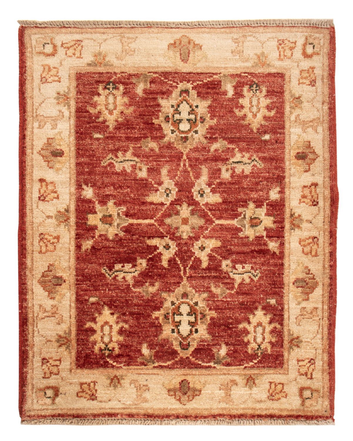 Ziegler Rug - 67 x 53 cm - red