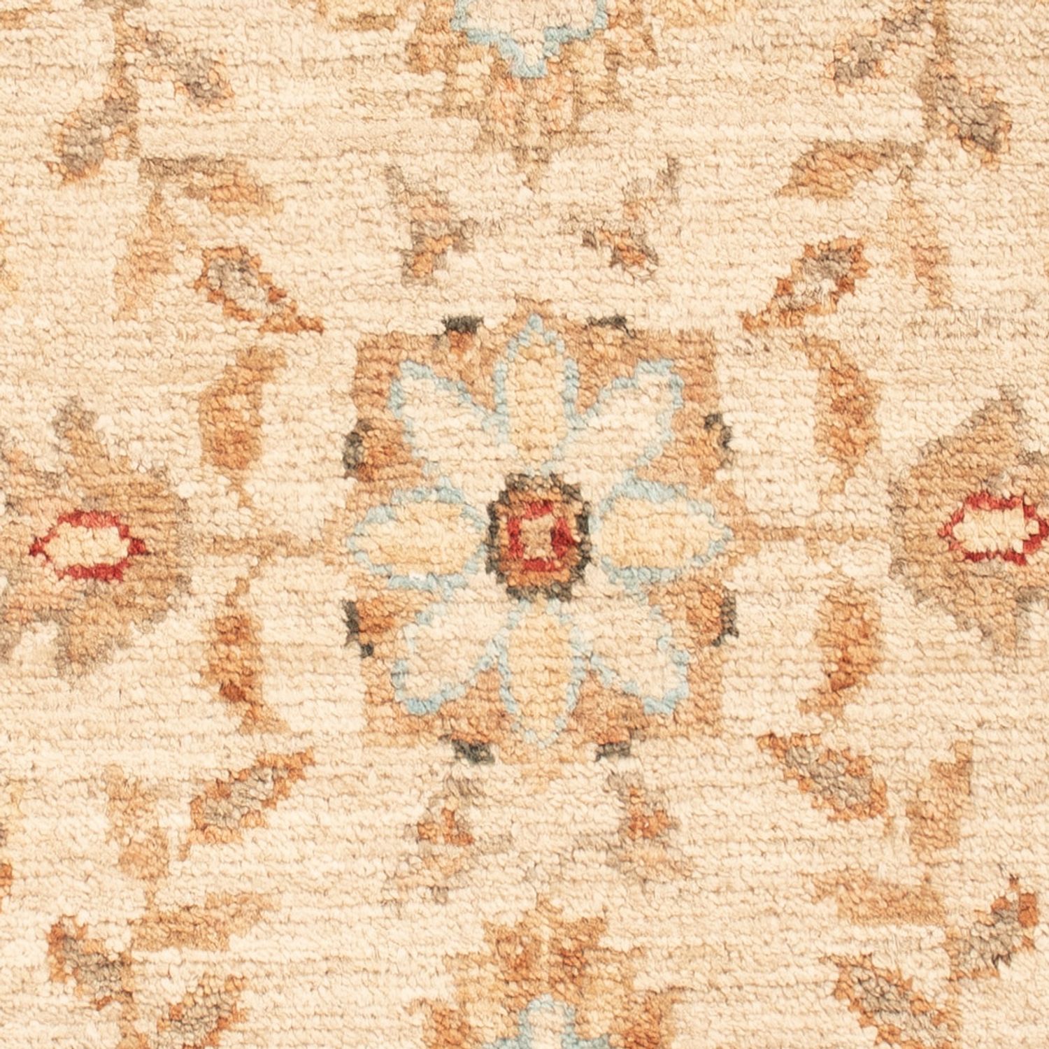 Ziegler Rug - 70 x 53 cm - beige