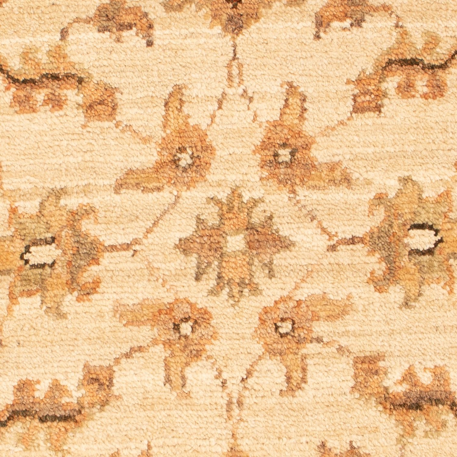 Ziegler Rug - 70 x 50 cm - beige