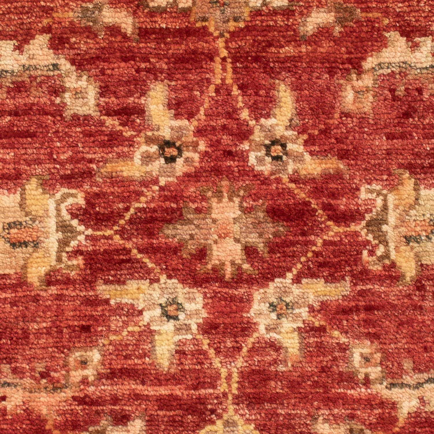 Ziegler Rug - 65 x 53 cm - red