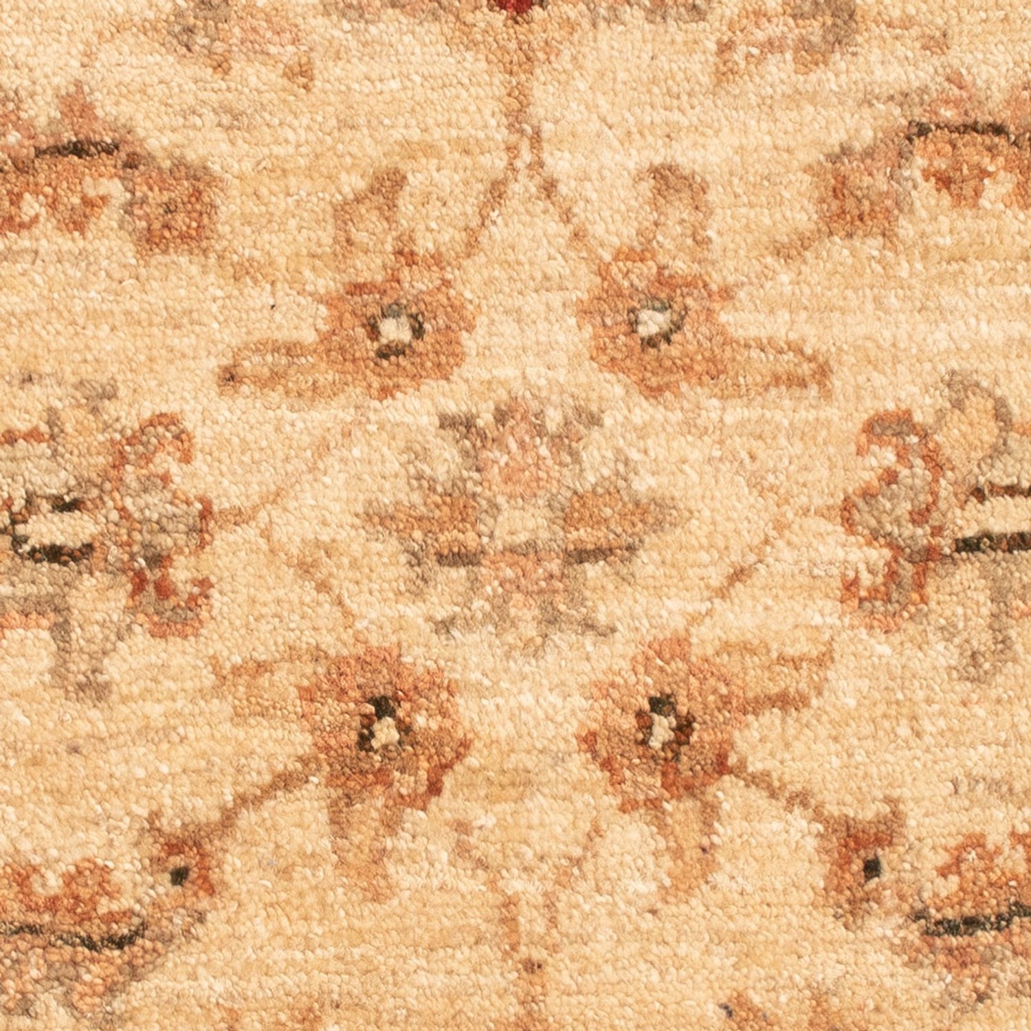 Ziegler Rug - 66 x 51 cm - beige