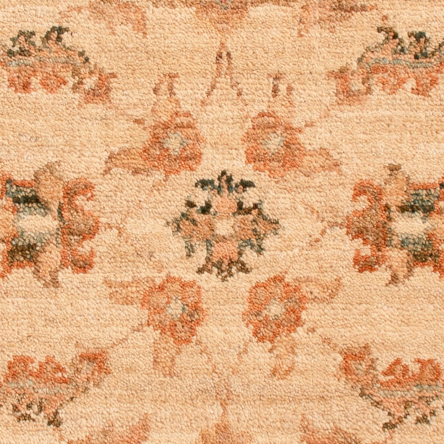 Ziegler Rug - 70 x 52 cm - beige