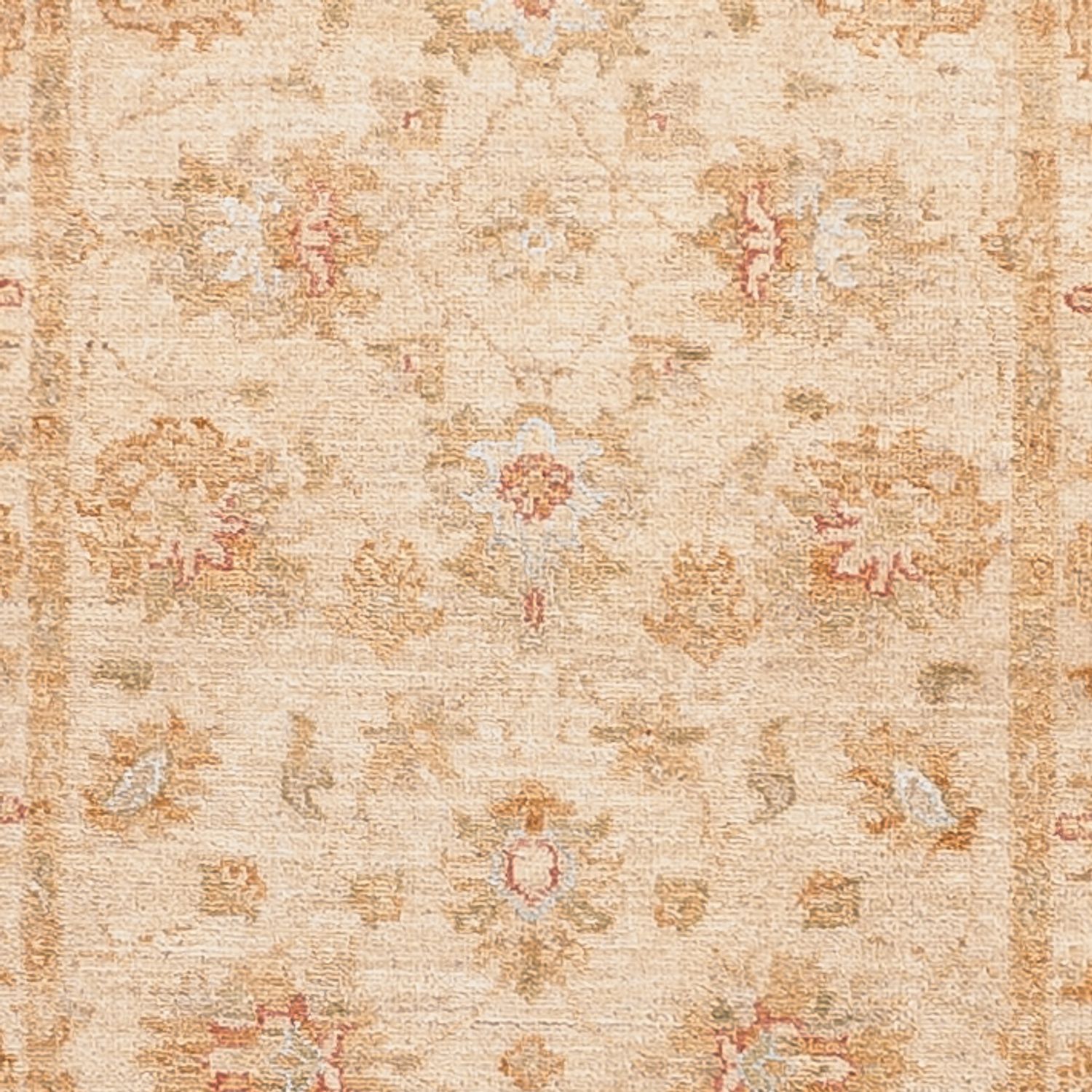 Runner Ziegler Rug - 481 x 75 cm - beige