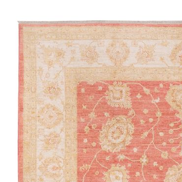 Ziegler Rug - 296 x 254 cm - light red
