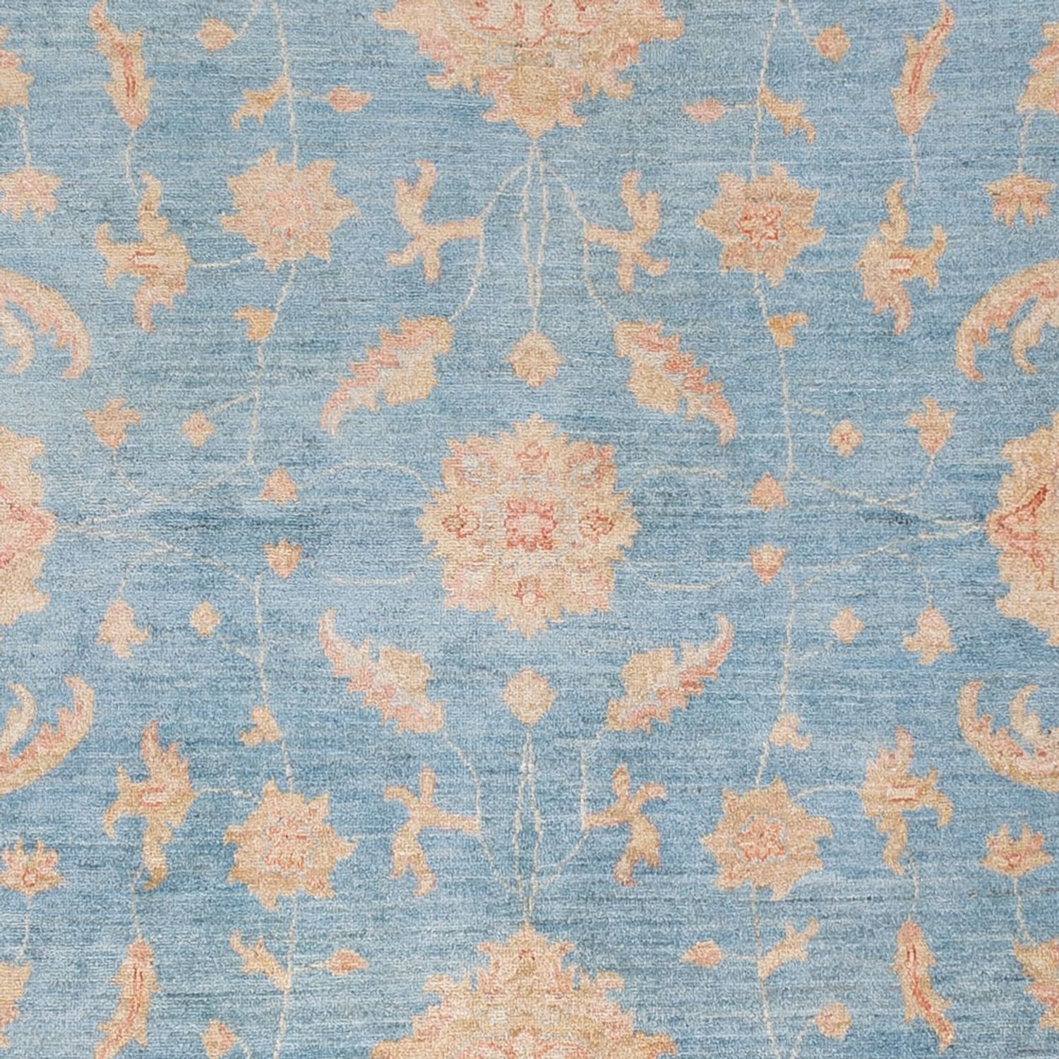 Ziegler Rug - Modern - 309 x 252 cm - light blue