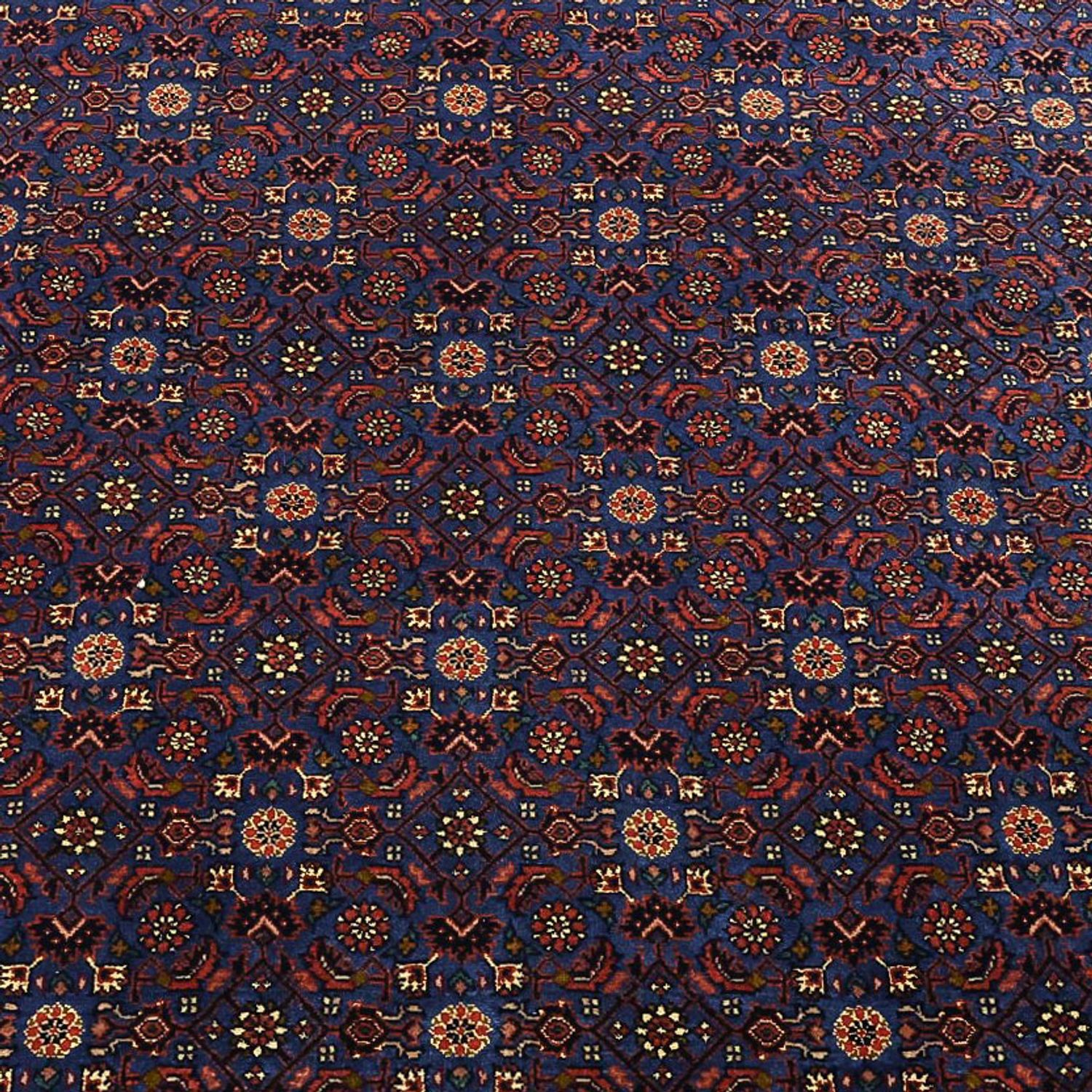 Perser Rug - Bidjar - Royal - 286 x 255 cm - dark blue