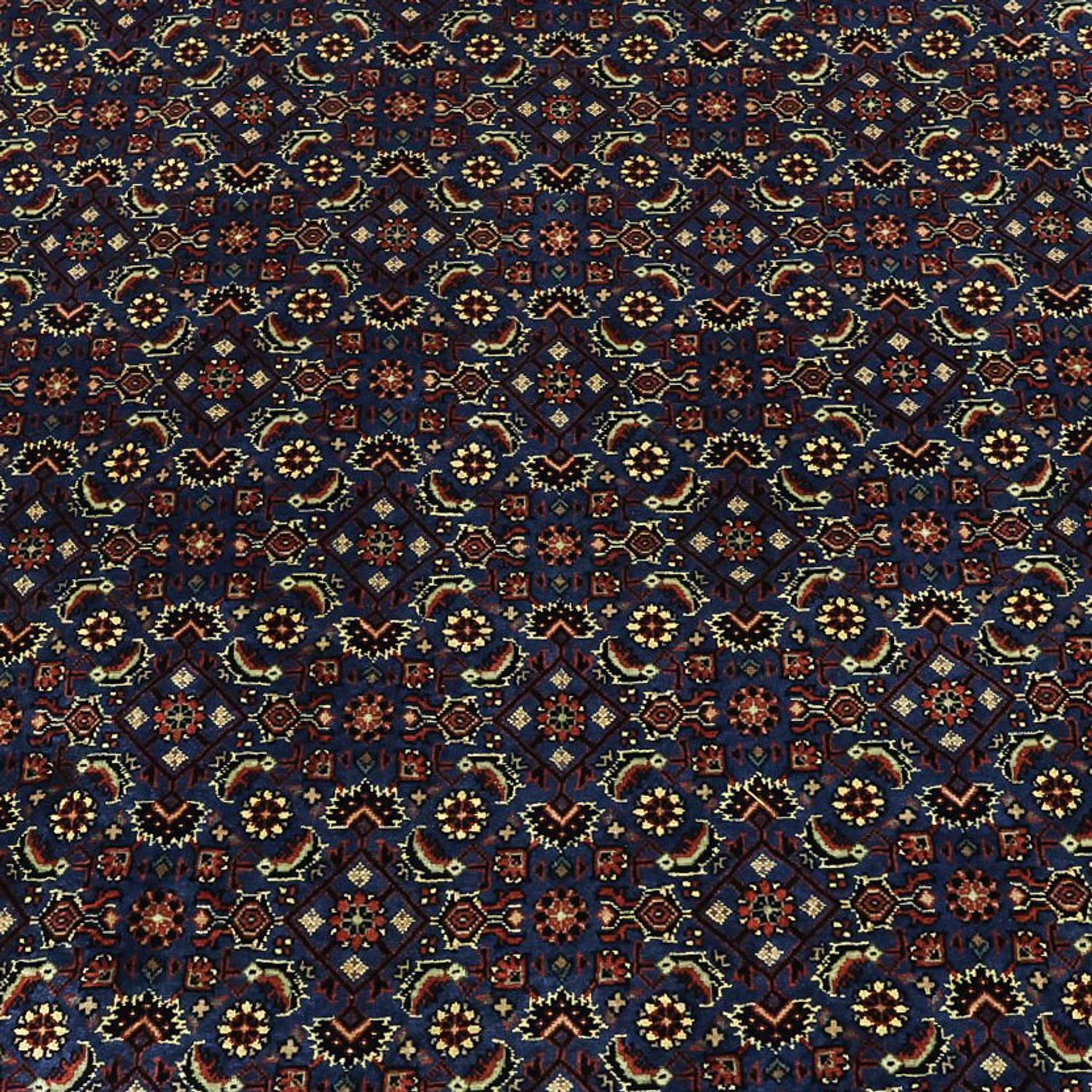 Perser Rug - Bidjar - Royal - 319 x 256 cm - dark blue
