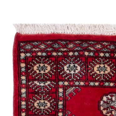 Runner Pakistani Rug - 255 x 77 cm - red
