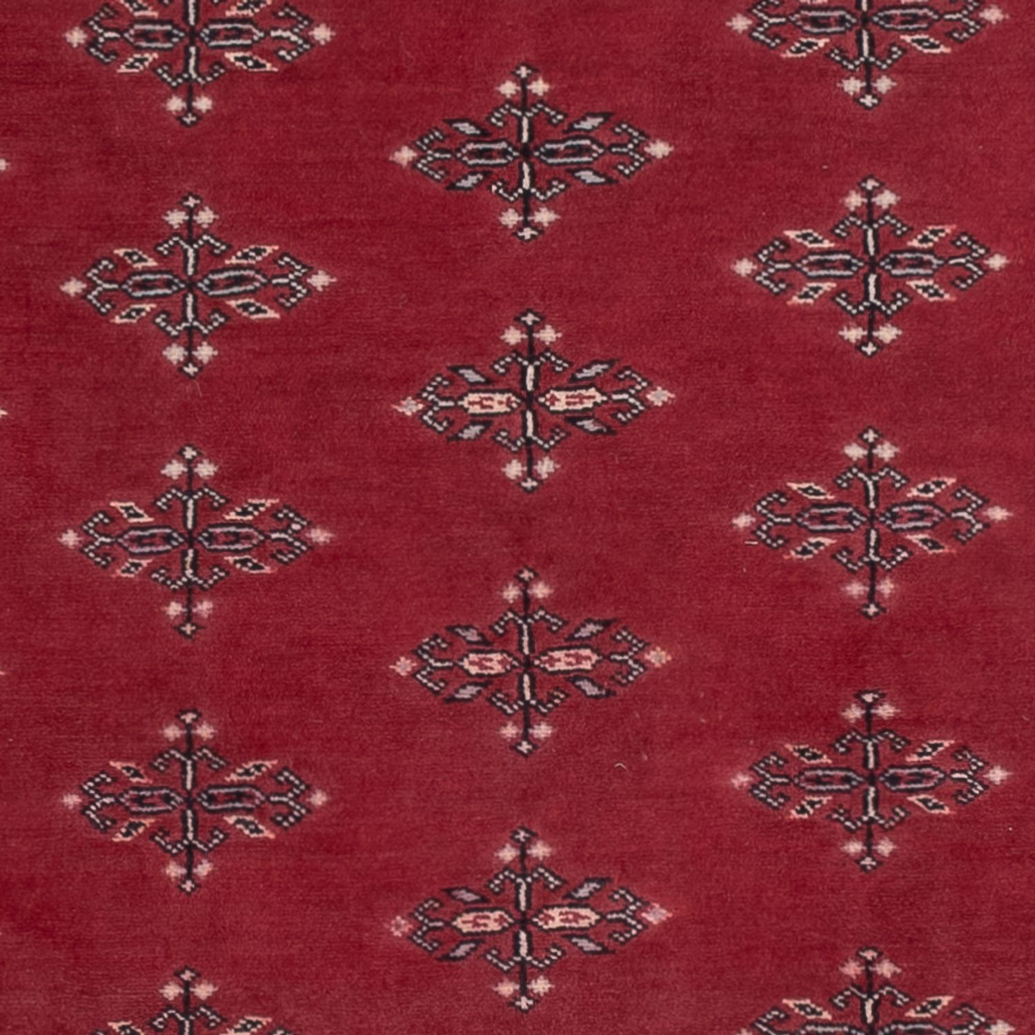 Pakistani Rug - 195 x 140 cm - red