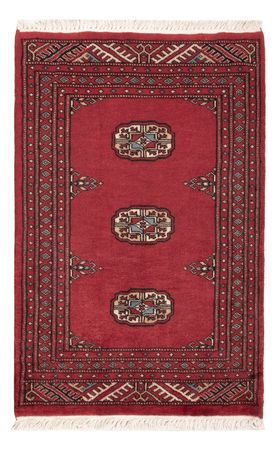 Pakistani Rug - 90 x 61 cm - red
