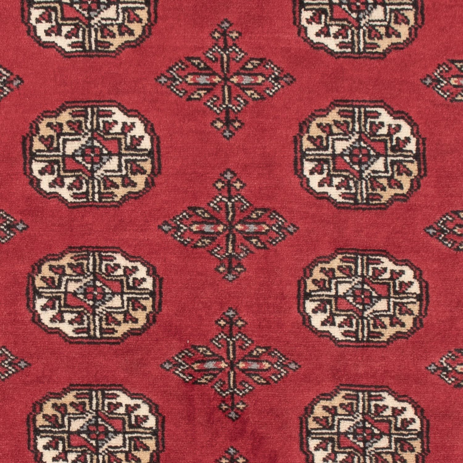 Pakistani Rug - 154 x 95 cm - red