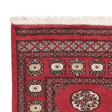 Pakistani Rug - 154 x 95 cm - red