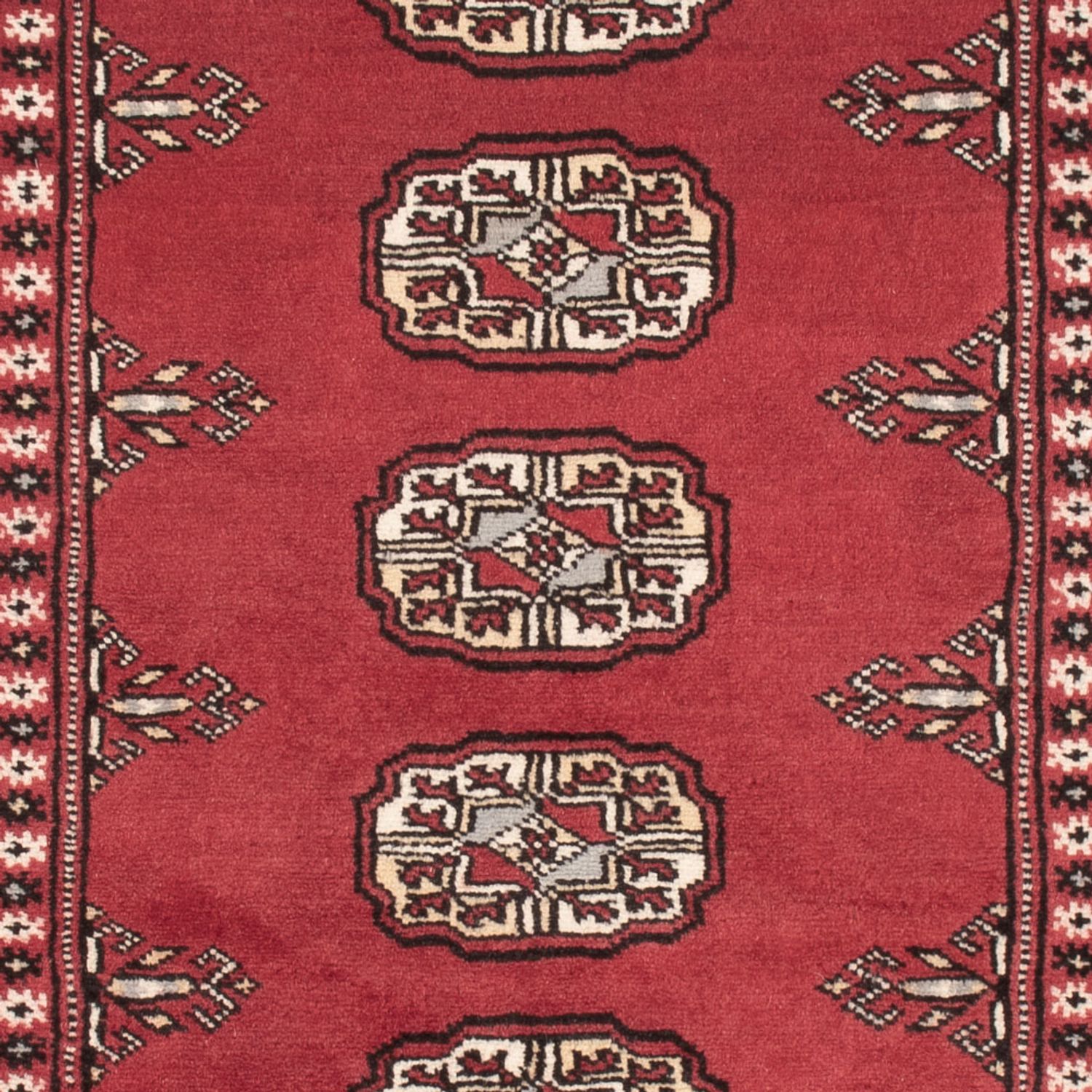 Pakistani Rug - 159 x 92 cm - red