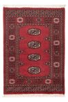 Pakistani Rug - 103 x 75 cm - red