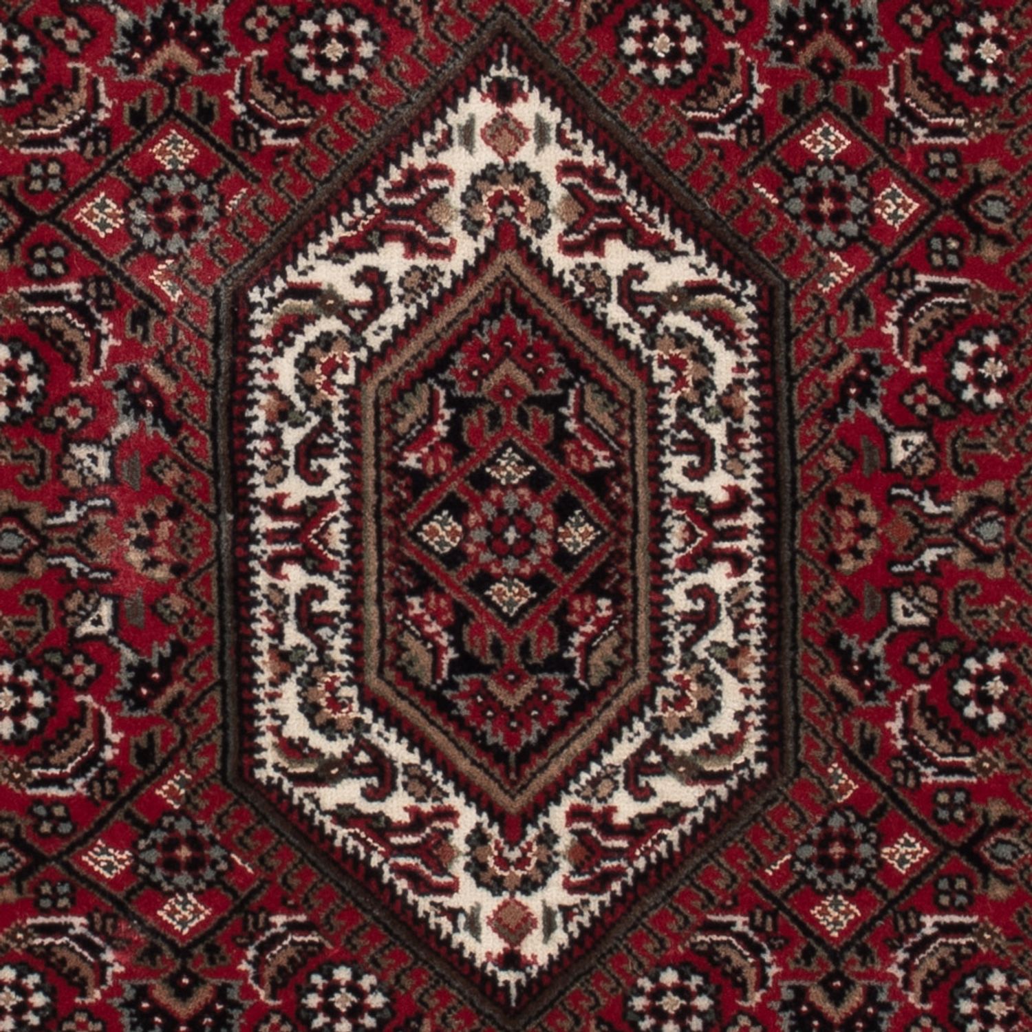 Oriental Rug - Bidjar - Indus - 141 x 73 cm - dark beige
