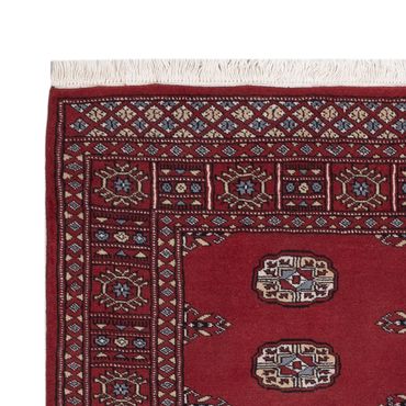 Pakistani Rug - 169 x 125 cm - red