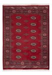 Pakistani Rug - 170 x 128 cm - red
