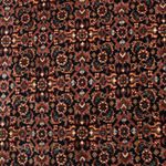 Perser Rug - Bidjar - 152 x 88 cm - dark beige