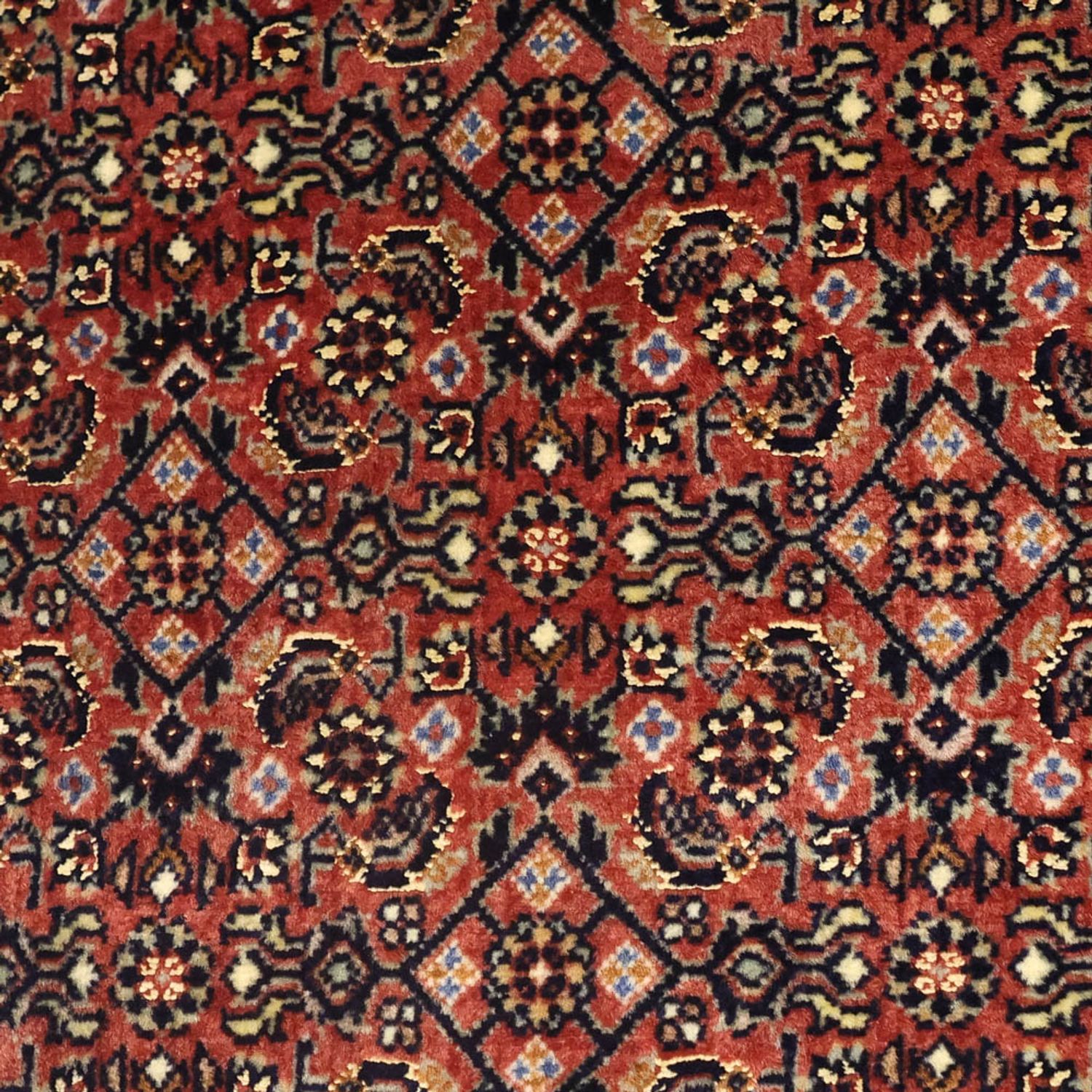 Perser Rug - Bidjar - 142 x 72 cm - dark beige