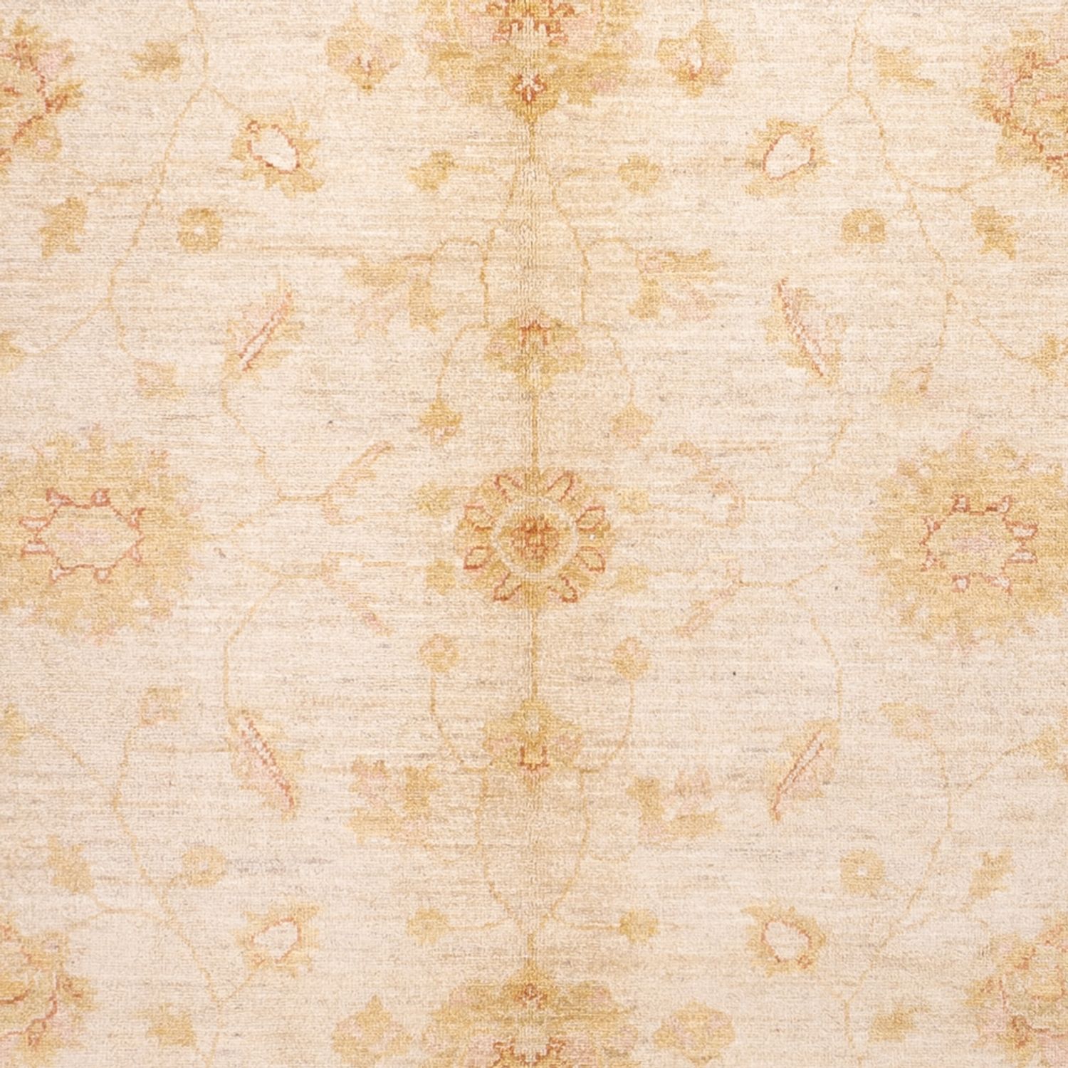 Ziegler Rug - 294 x 205 cm - beige
