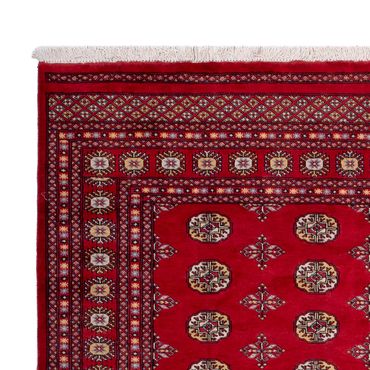 Afghan Rug - Bukhara - 292 x 206 cm - red