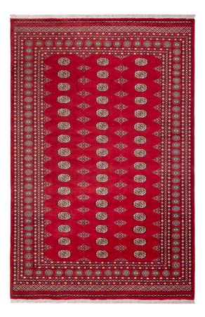 Afghan Rug - Bukhara - 307 x 201 cm - red