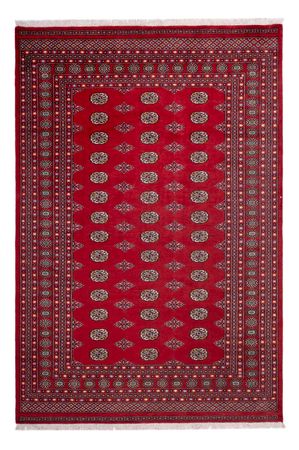 Afghan Rug - Bukhara - 302 x 200 cm - red