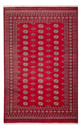 Afghan Rug - Bukhara - 316 x 203 cm - red