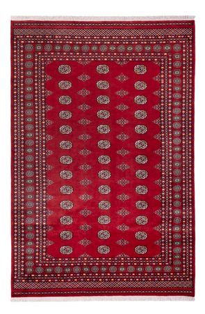 Afghan Rug - Bukhara - 294 x 198 cm - red