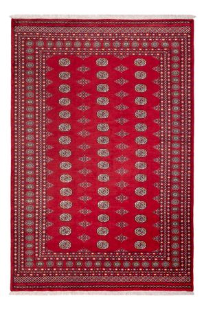 Afghan Rug - Bukhara - 304 x 206 cm - red