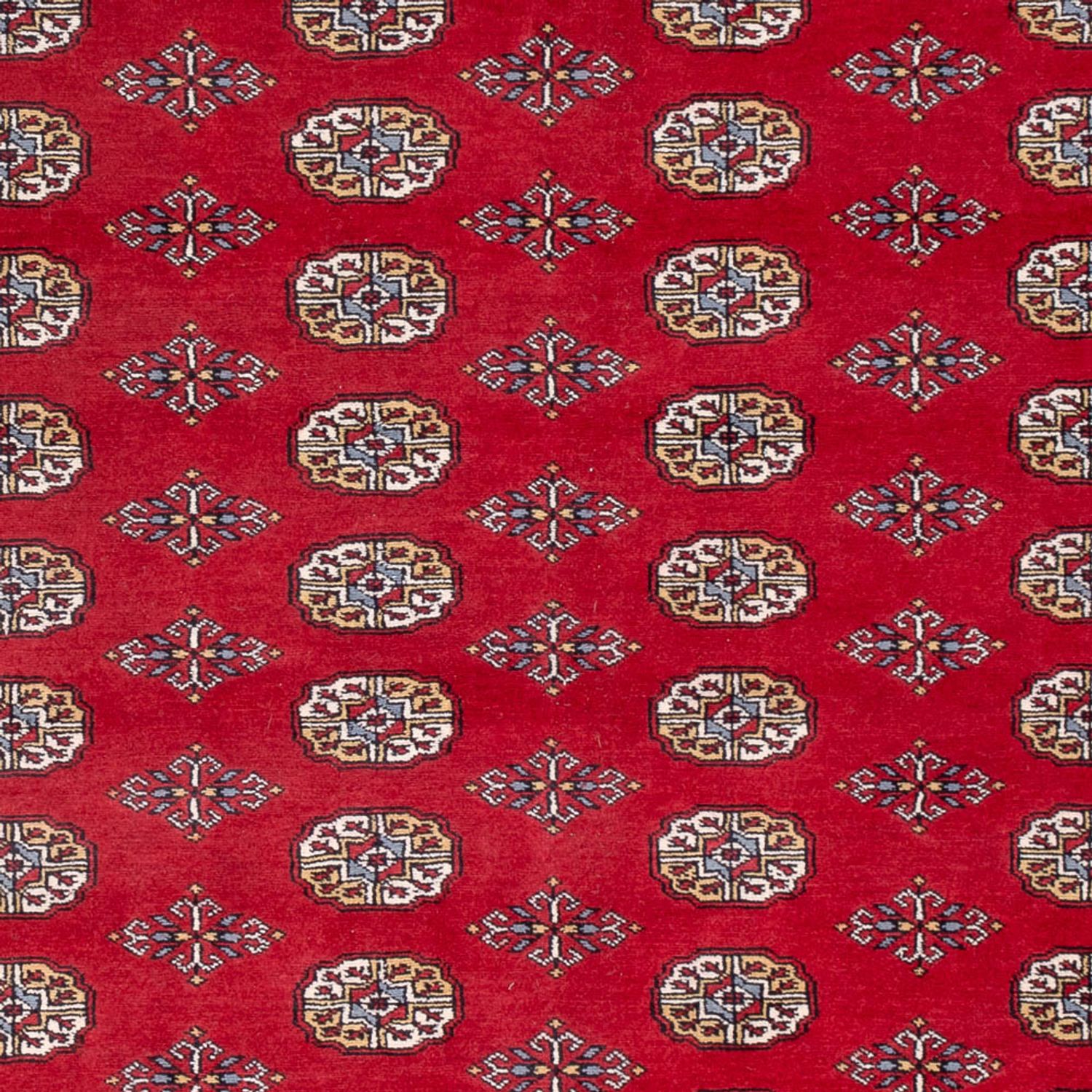 Afghan Rug - Bukhara - 313 x 207 cm - red