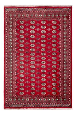Afghan Rug - Bukhara - 313 x 207 cm - red