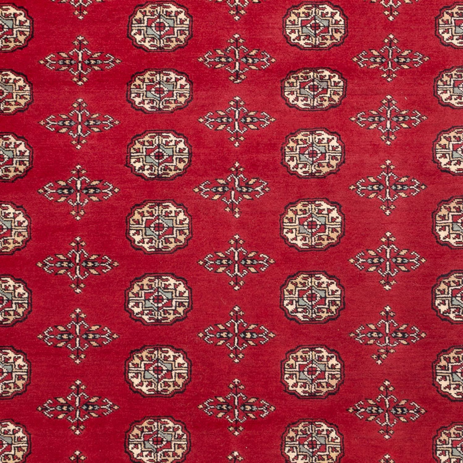 Afghan Rug - Bukhara - 318 x 210 cm - red