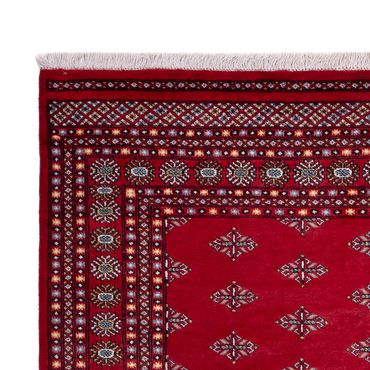 Afghan Rug - Bukhara - 317 x 204 cm - red