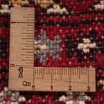 Afghan Rug - Bukhara - 317 x 204 cm - red
